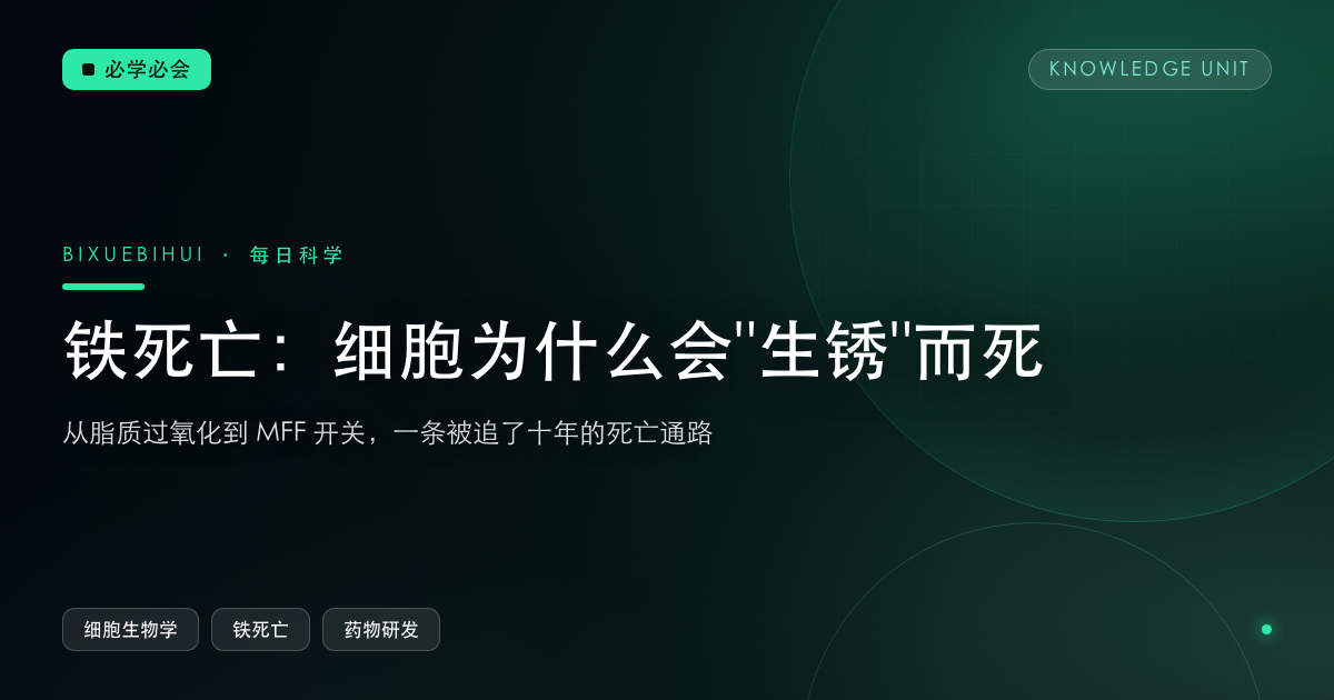 铁死亡:细胞为什么会生锈而死