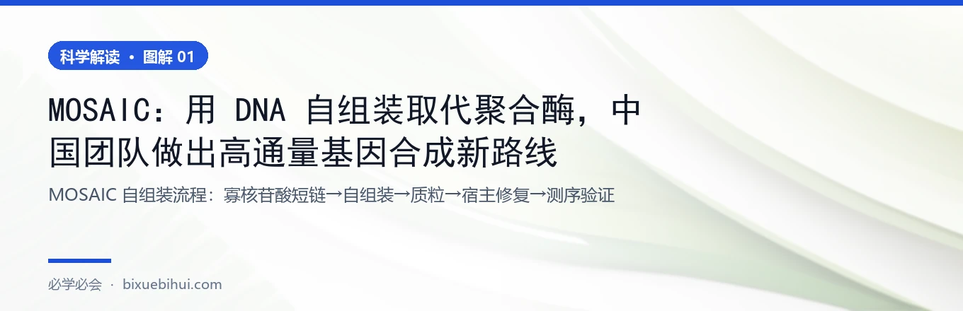 MOSAIC 流程:拆开、自组装、交给细胞补齐
