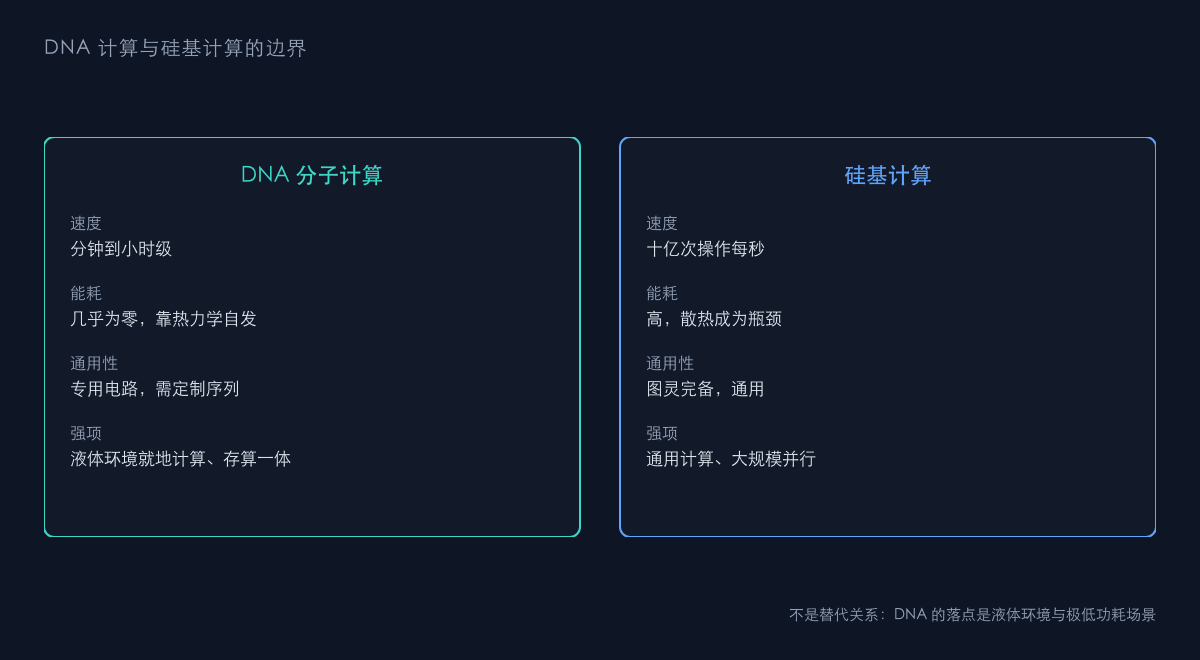 图2:DNA 计算与硅基计算的定位对比