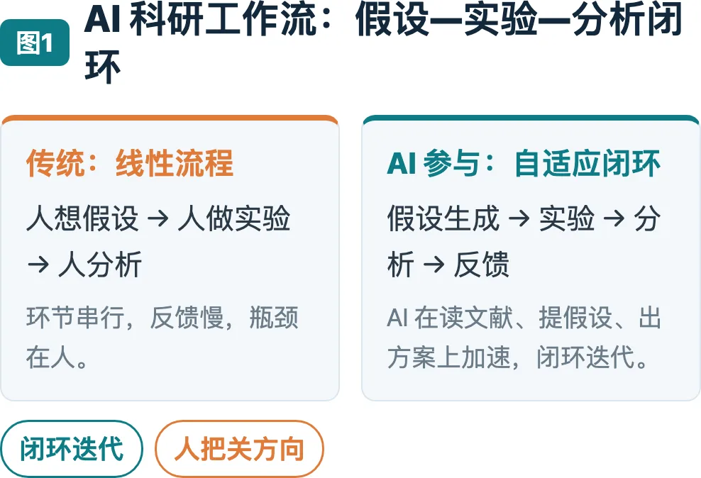 AI 科研工作流：假设—实验—分析闭环