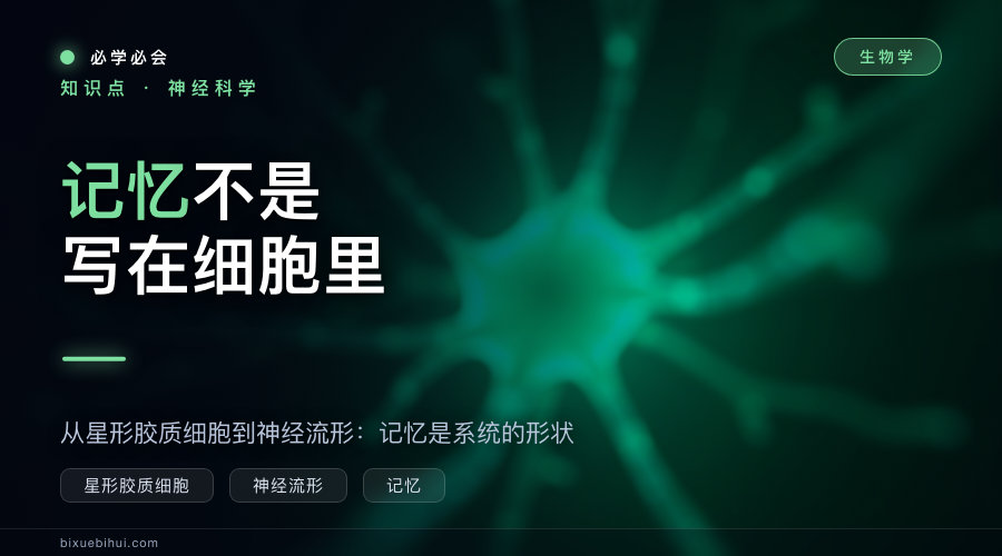 记忆不是写在细胞里：从星形胶质细胞到神经流形