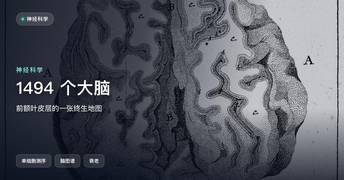 1494 个大脑,630 万份表达谱:一张前额叶皮层的终生地图