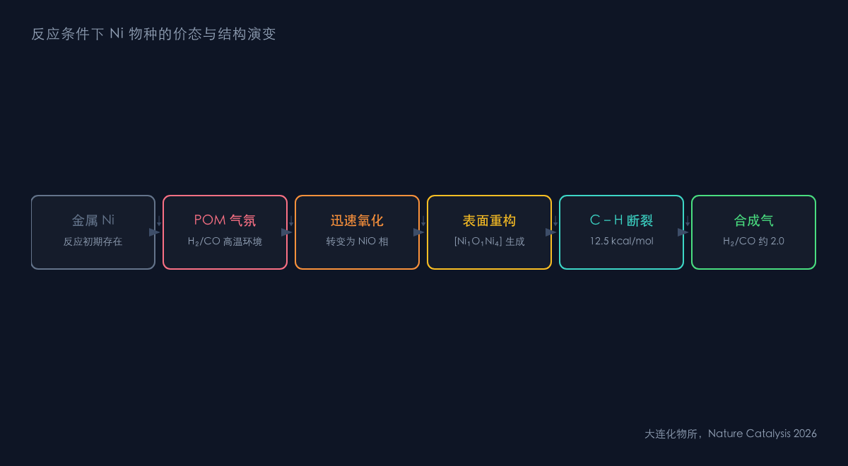 图2：从金属镍到重构活性单元