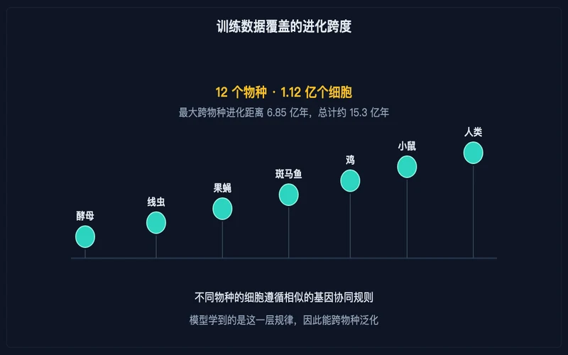 图示:训练数据覆盖的物种跨度,从单细胞酵母延伸到人类