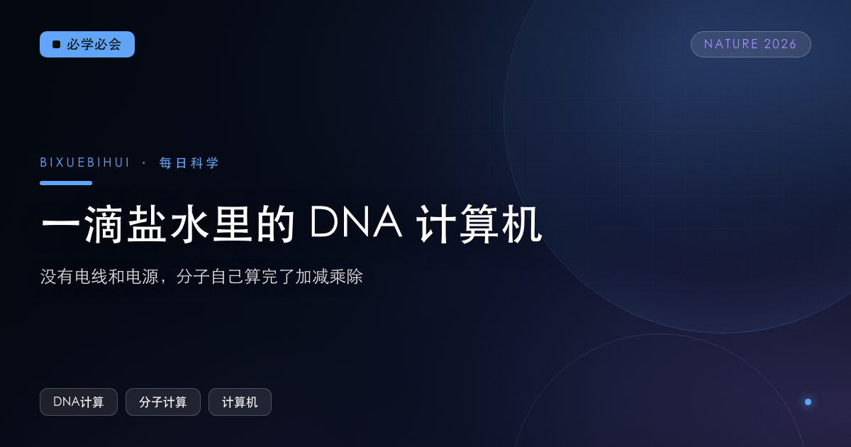 一滴盐水里的 DNA 计算机:没有电线,分子自己算完了加减乘除