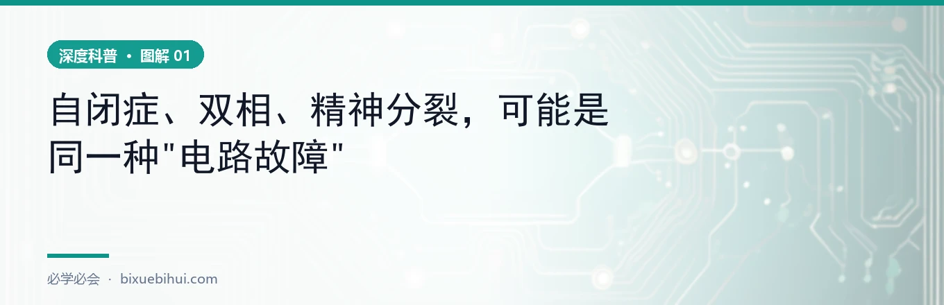 四种脑病共享一条通路