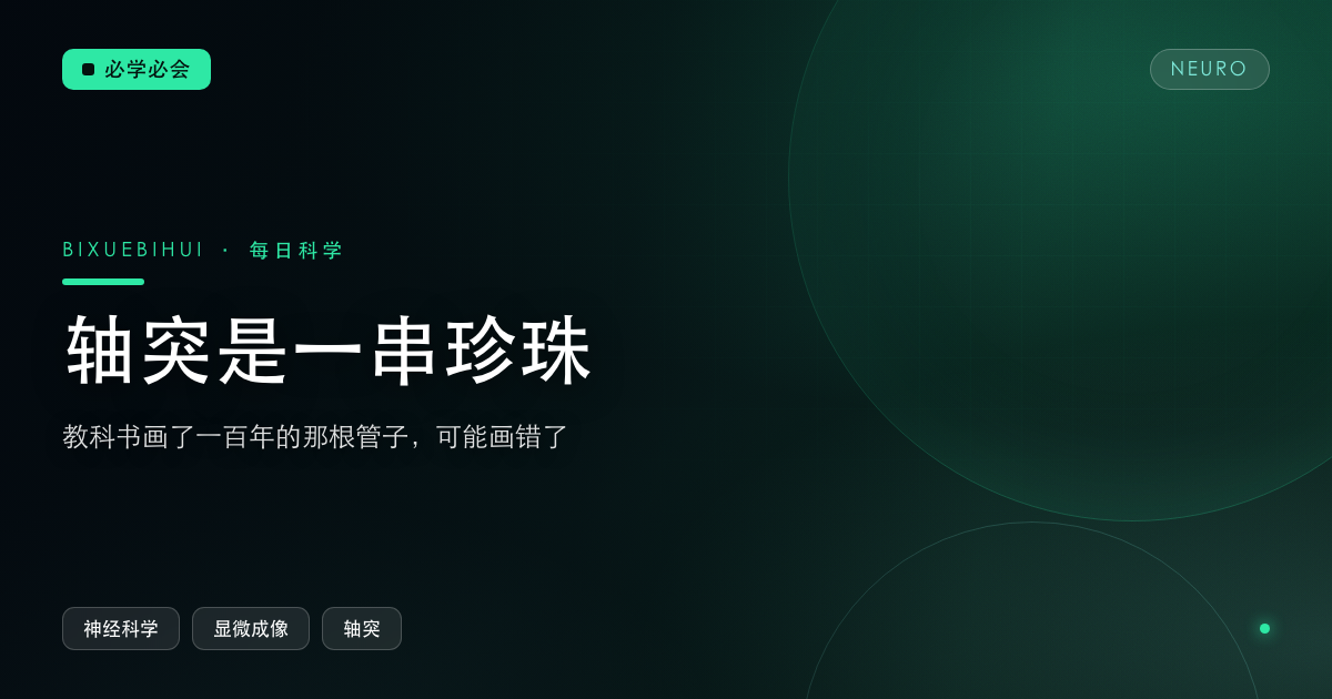 教科书画了一百年的轴突，可能画错了