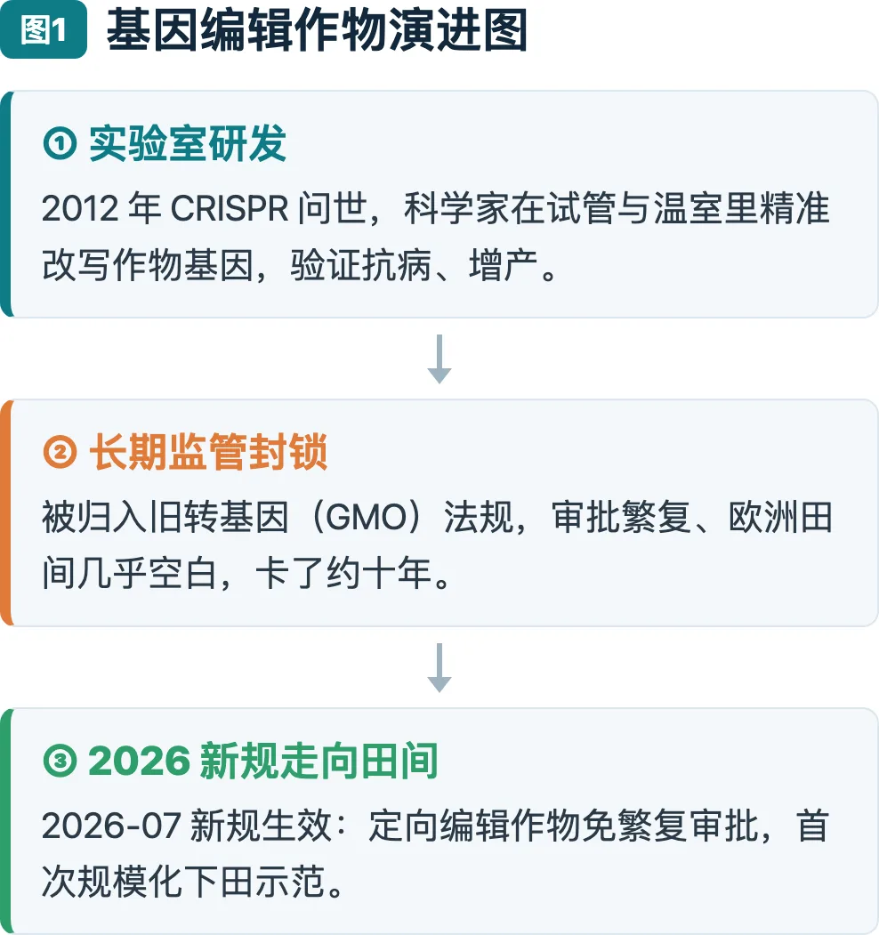 基因编辑作物演进图
