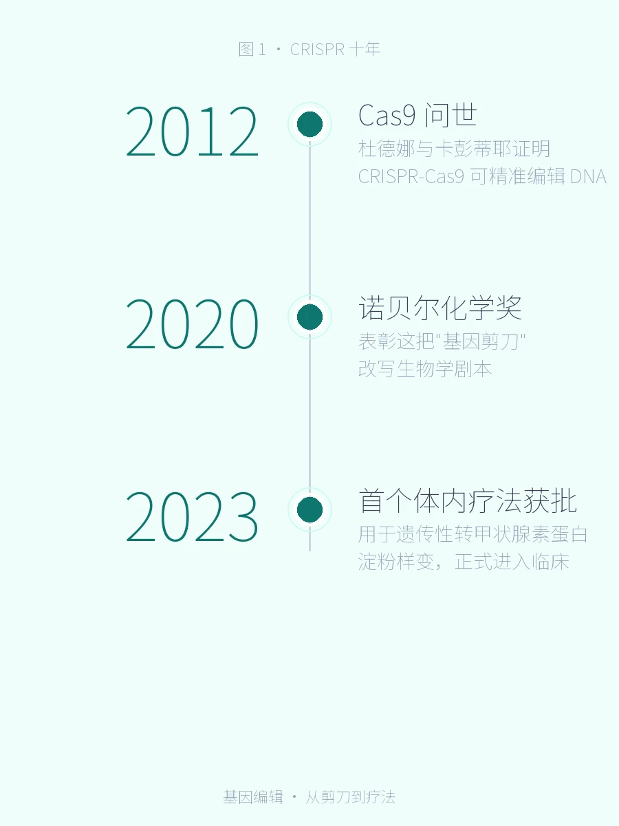基因编辑的下一个十年：从剪刀到药丸，CRISPR 走出实验室 · 图 1