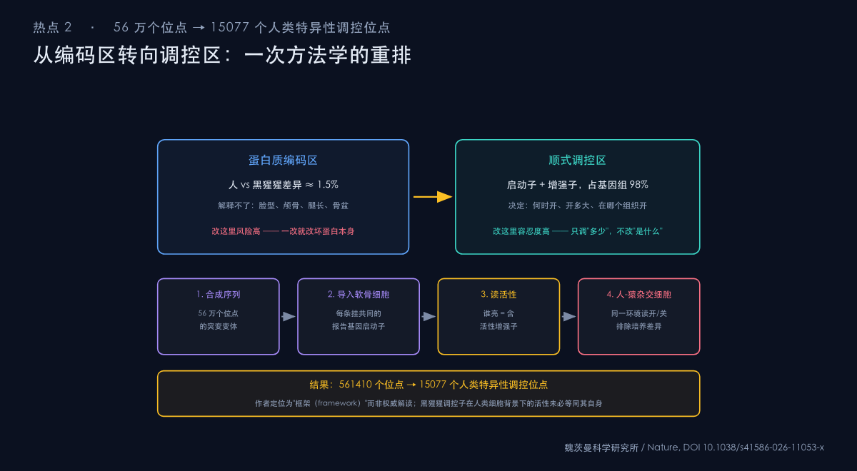 图：全基因组人类特异顺式调控表达（cis-regulatory expression）图谱