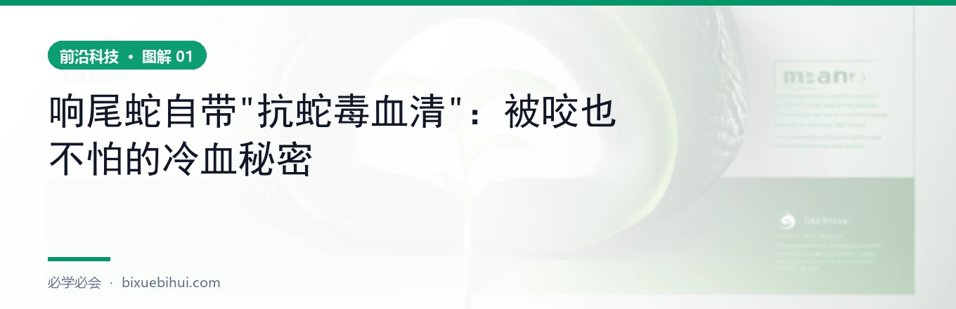 两条抗蛇毒路线对比
