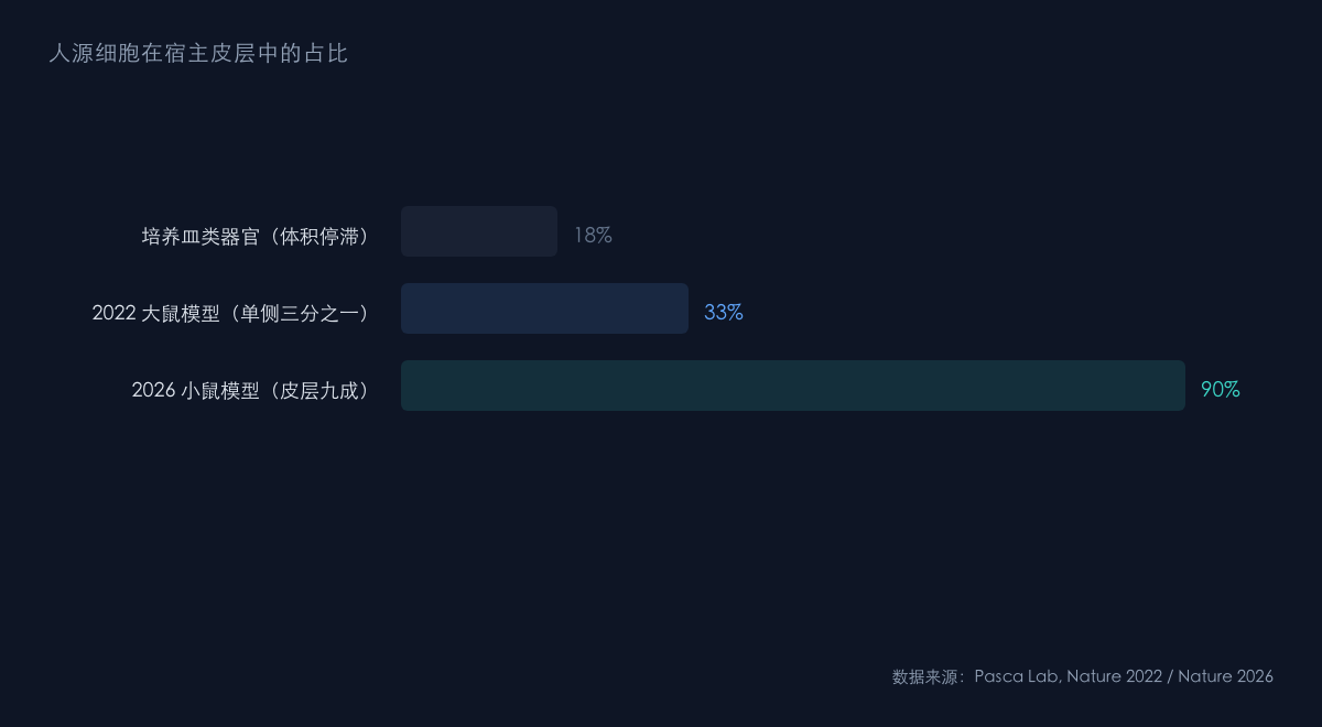 图1：从大鼠到小鼠的移植规模对比