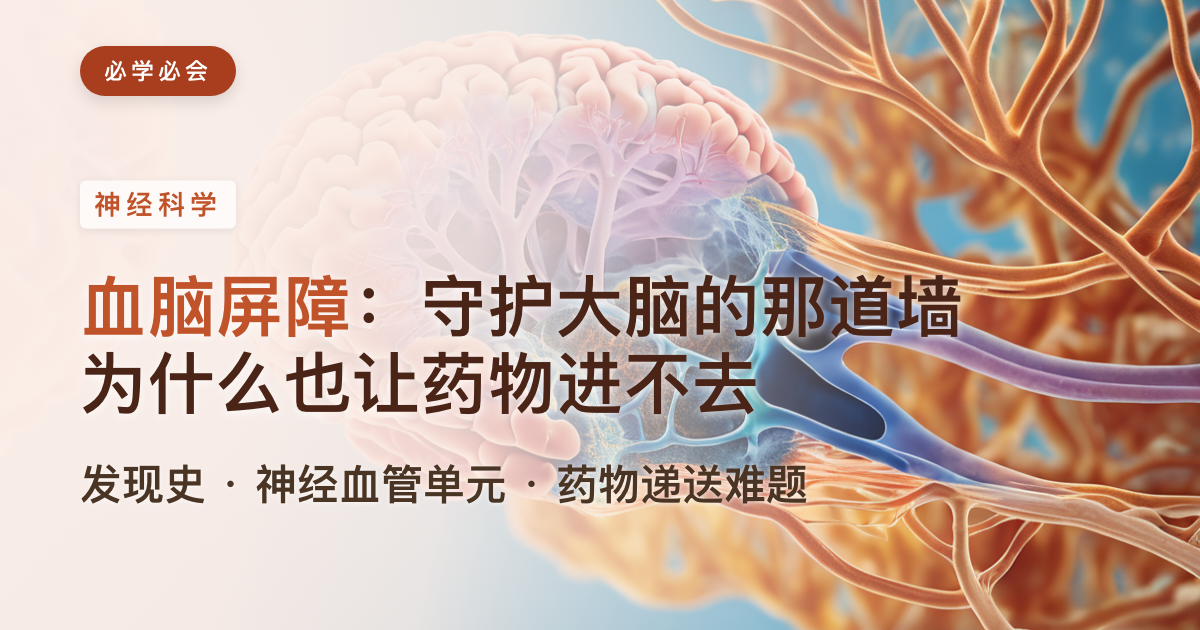 血脑屏障简史:一道守护大脑、却让药物最头疼的墙