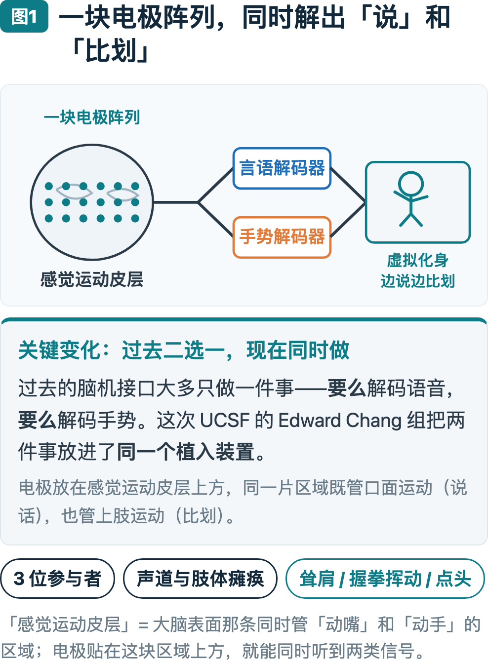 图1：一块电极阵列，同时解出「说」和「比划」