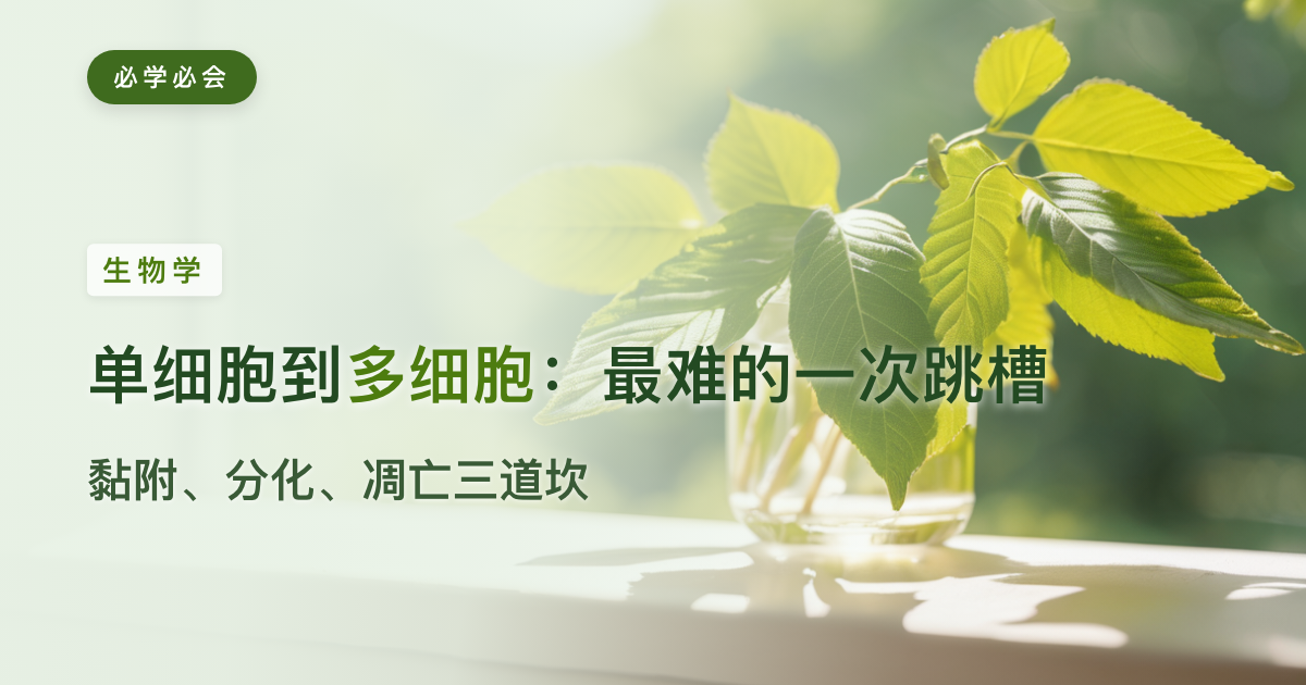 从单细胞到多细胞:生命最难的一次"跳槽"是怎么完成的