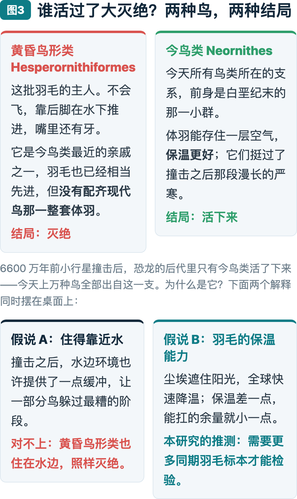 图3：两种鸟，两种结局——以及同时摆在桌面上的两个解释
