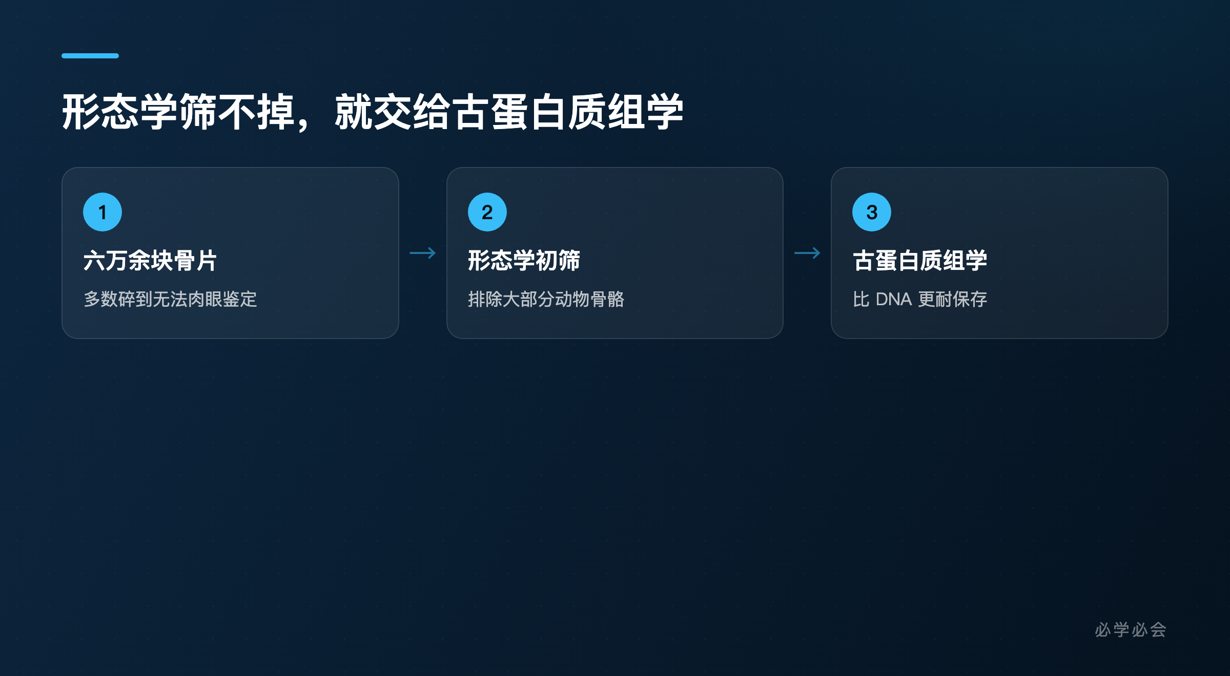 从六万块碎骨中鉴定丹尼索瓦人的流程