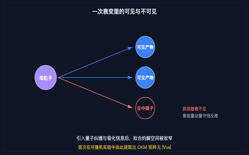 图示：一次衰变中的可见产物与不可见的反中微子，后者只能靠守恒律反推