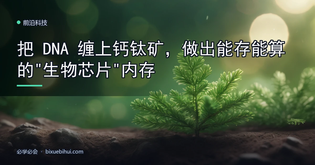 把 DNA 缠上钙钛矿,做出能存能算的"生物芯片"内存