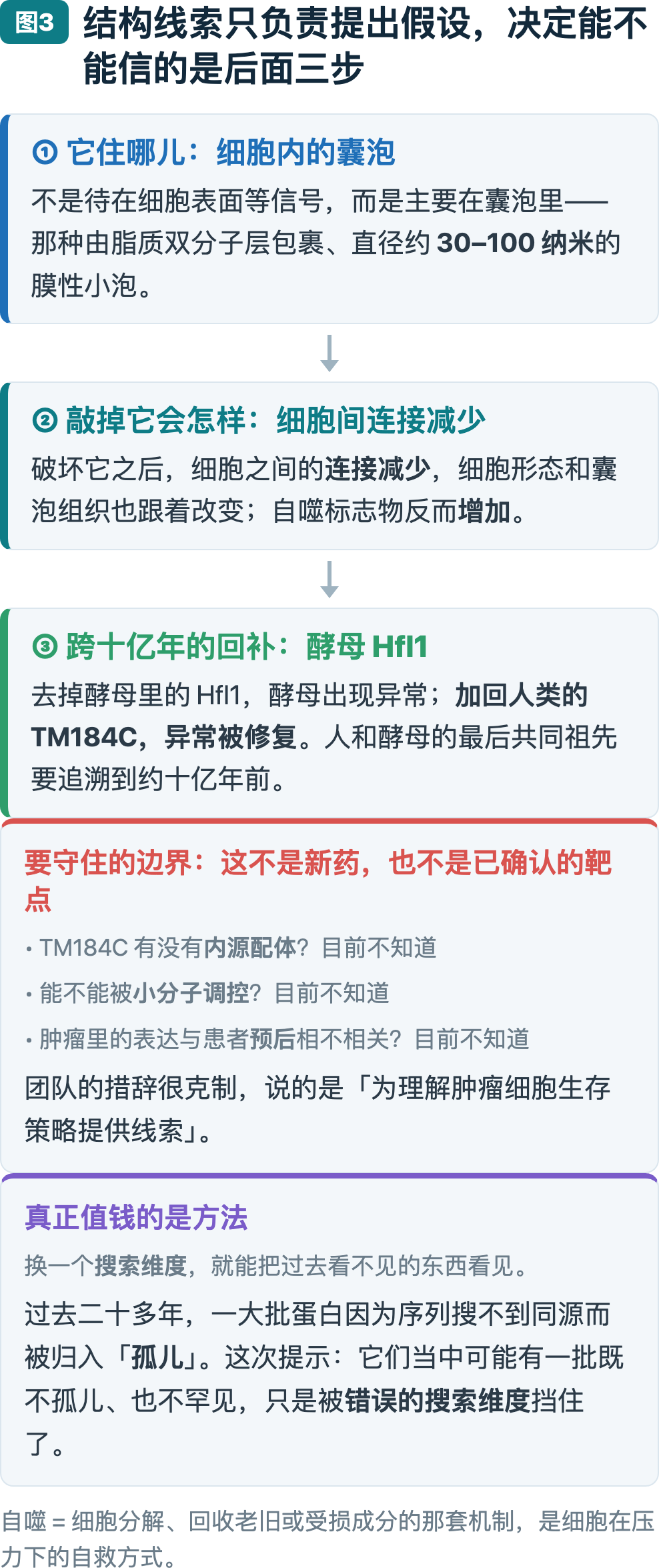 图3：结构线索只负责提出假设，决定能不能信的是后面三步