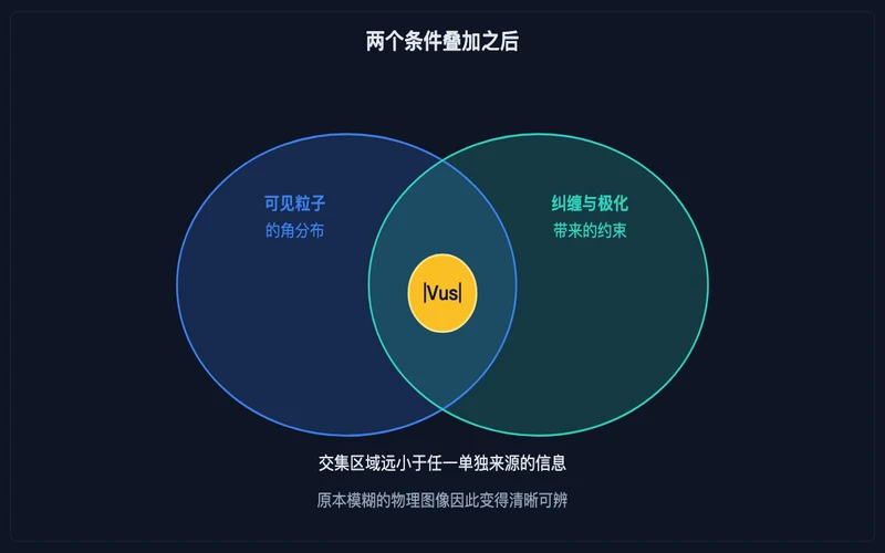 图示：可见粒子的角分布信息与纠缠极化约束的交集，交集处即为待提取的矩阵元