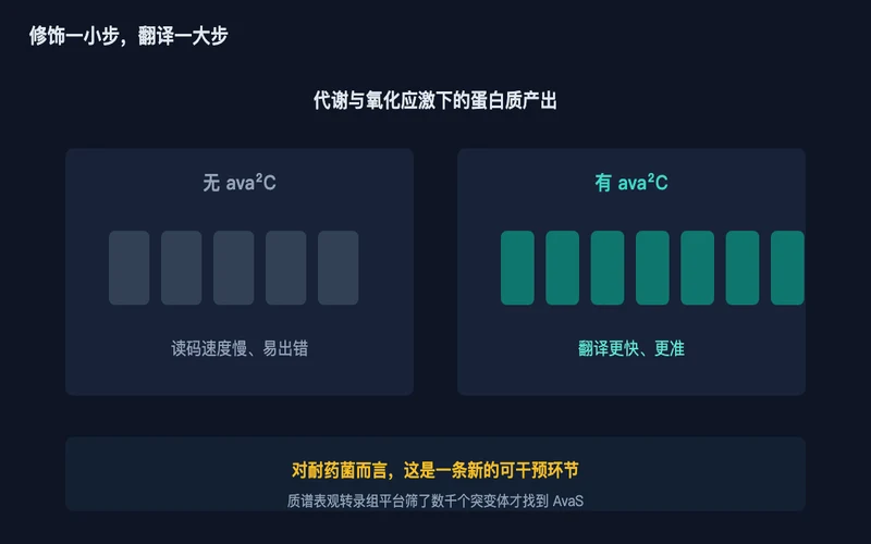 图2:修饰前后的翻译效率差异,以及它对耐药研究的入口价值
