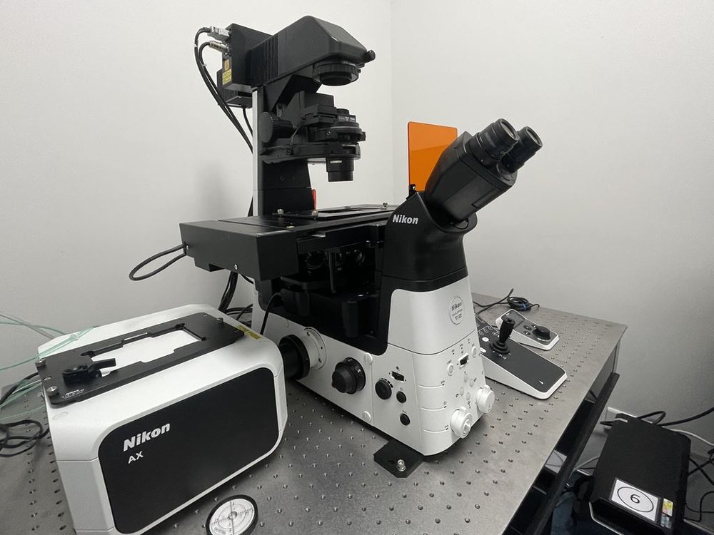 Nikon AX R Confocal Microscope with NSPARC