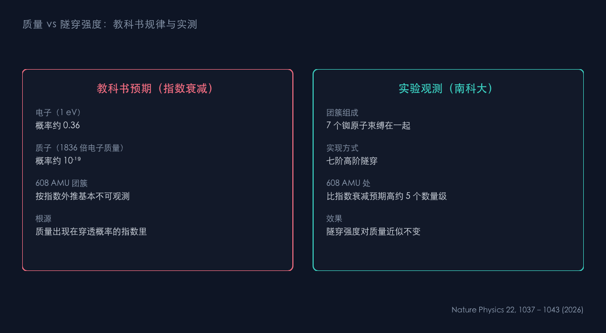 图1:指数衰减与实验观测的对比