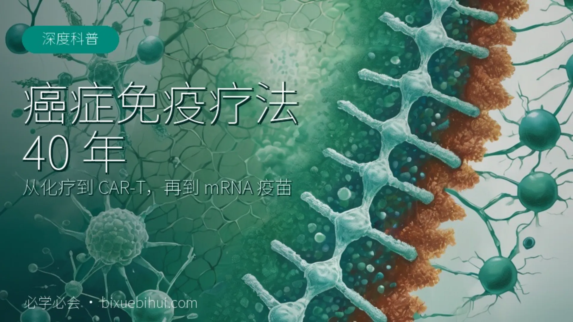 癌症免疫疗法 40 年:从化疗「无差别轰炸」到为每个人定制疫苗
