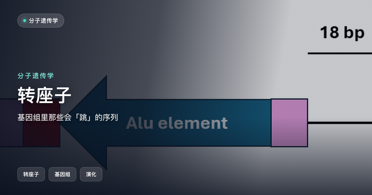 转座子：基因组里那些会「跳」的序列
