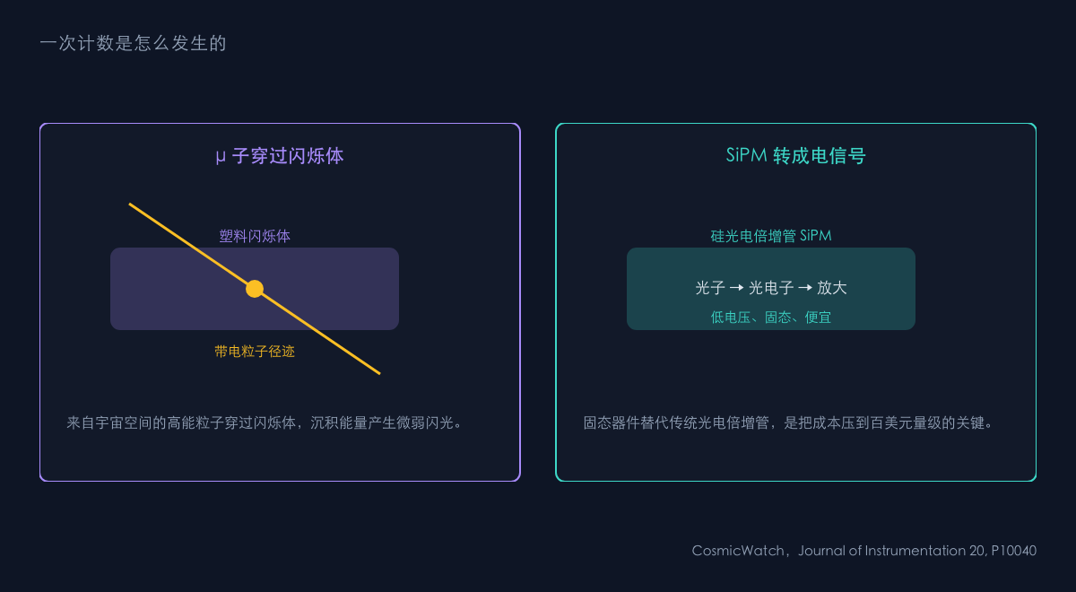 图1：探测器结构与工作原理