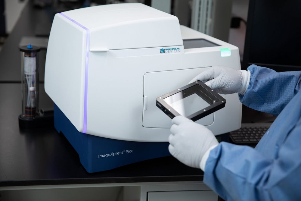 Molecular Devices ImageXpress Pico Automated Cell Imaging System
