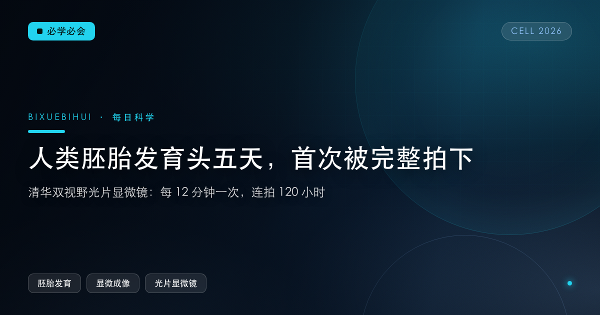 人类胚胎发育头五天,第一次被完整拍下来