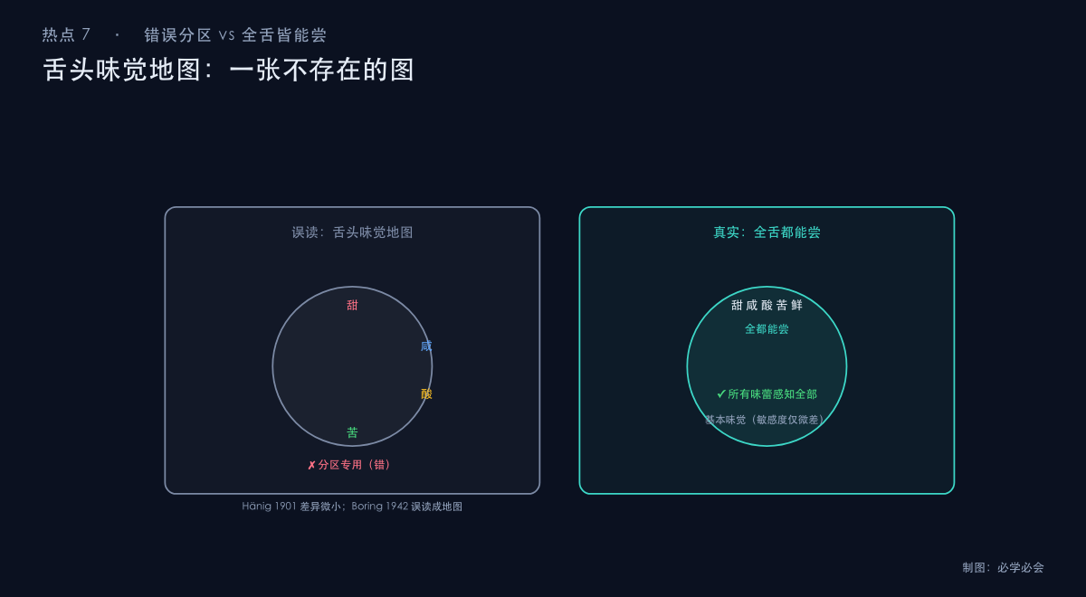 错误的舌头味觉地图 vs 全舌都能尝的真实情况