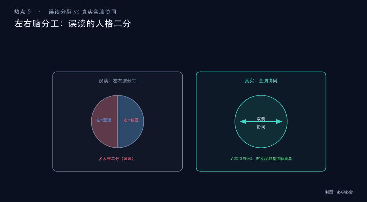 左右脑功能偏侧与协同工作的真实情况