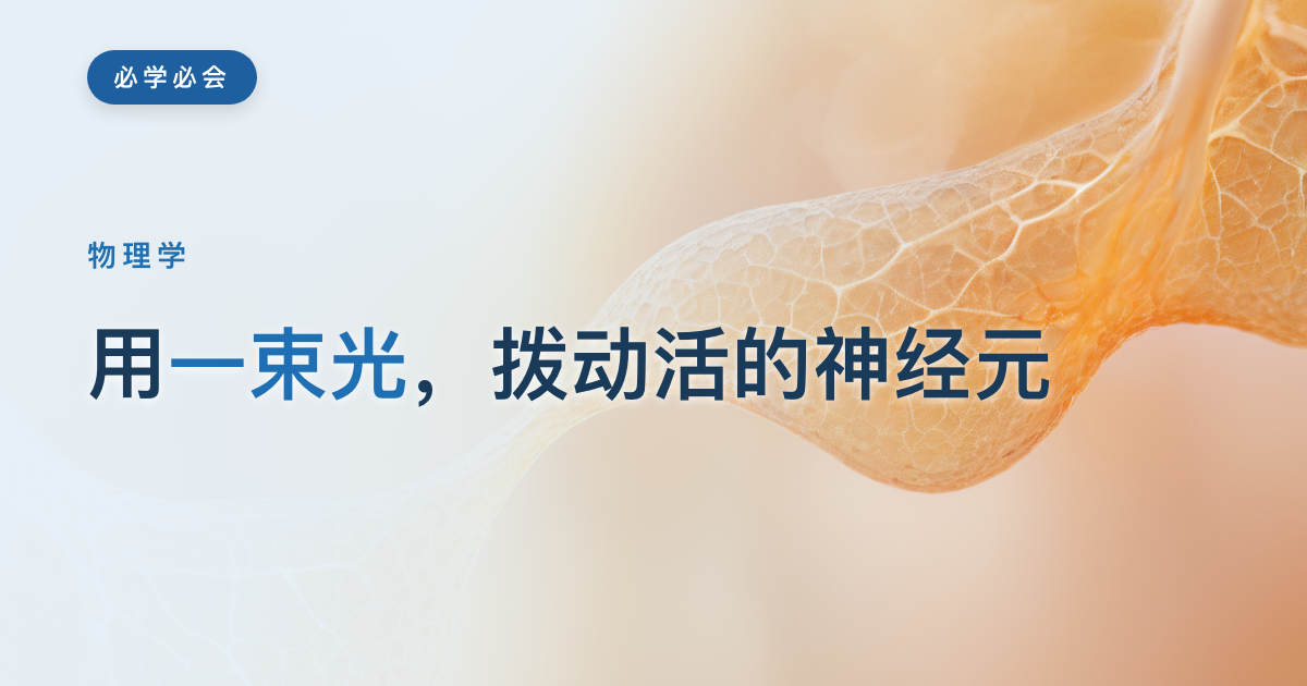 用一束光,拨动活的神经元