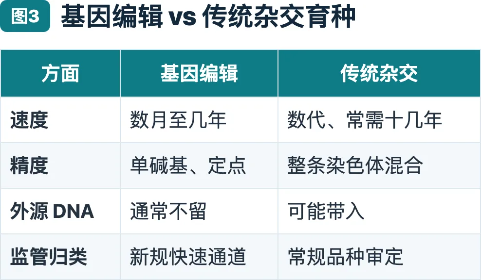 基因编辑 vs 传统杂交育种对比