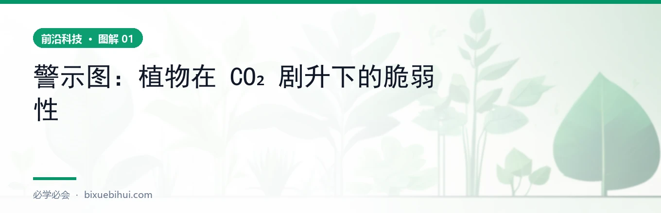 示意图:远古 CO₂ 骤升事件,森林生态崩塌过程