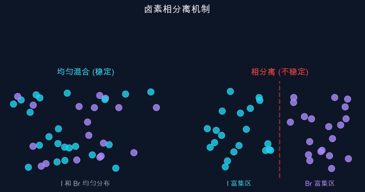 图2：卤素相分离机制