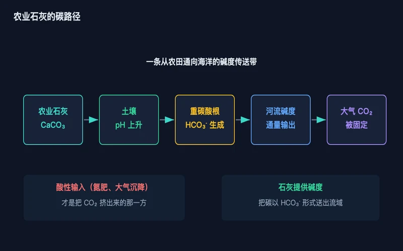图1:从农田到海洋的碱度传送带,石灰提供的是把碳带走的载体