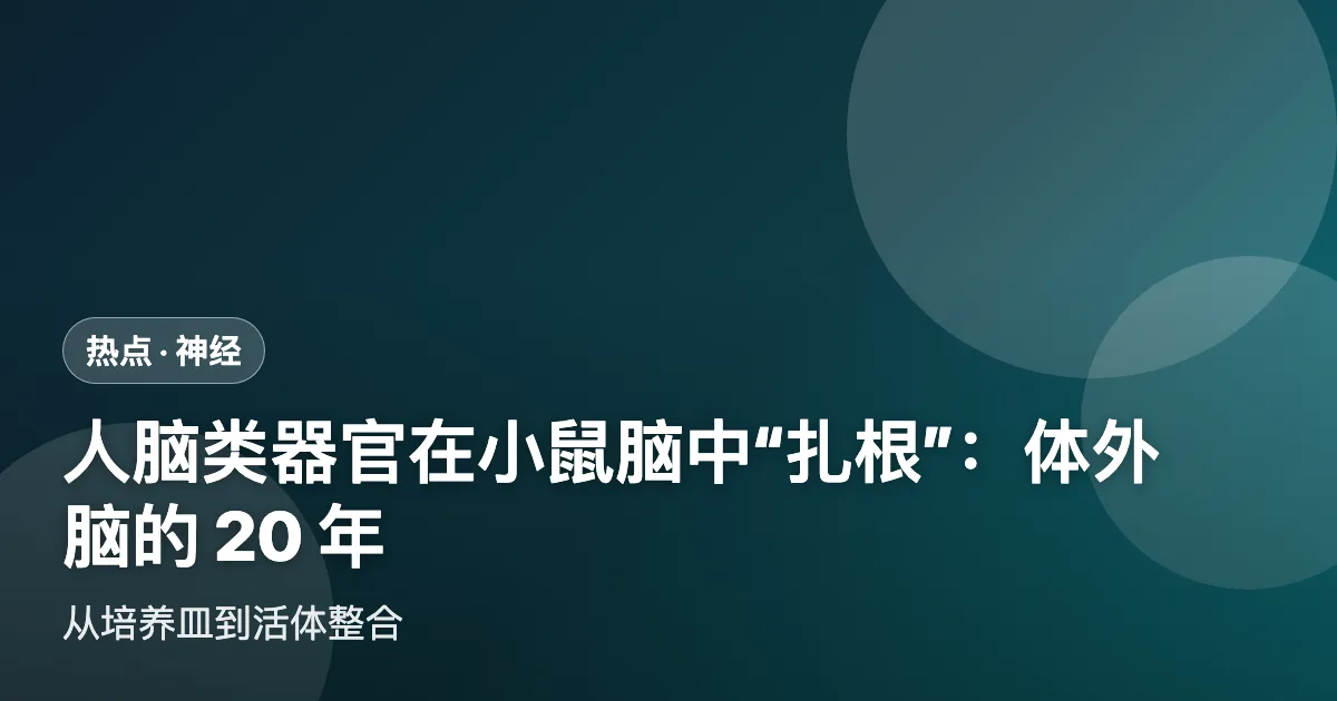 人脑类器官在小鼠脑中"扎根":体外脑的 20 年