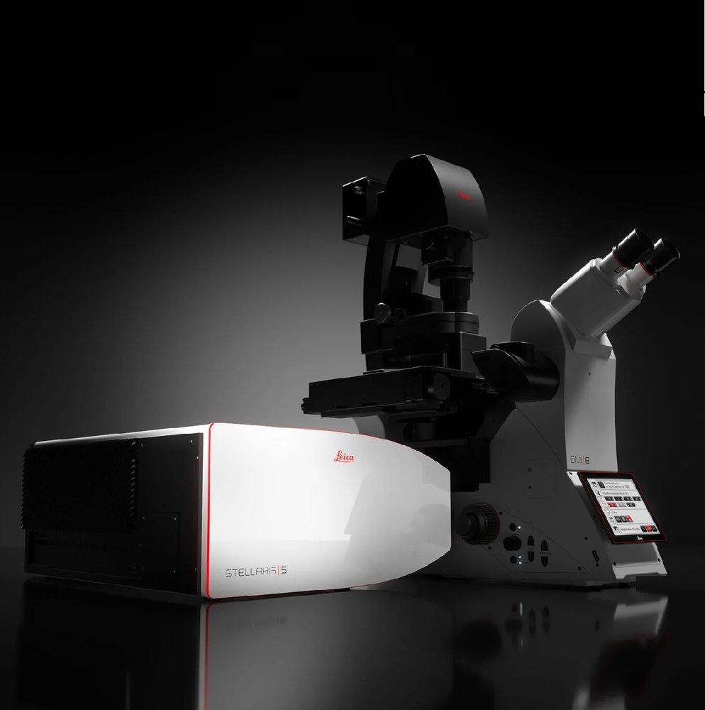 Leica STELLARIS 5 Confocal Microscope