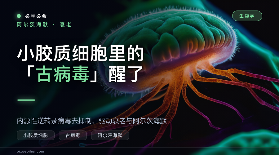 小胶质细胞里的“古病毒”醒来:驱动衰老与阿尔茨海默