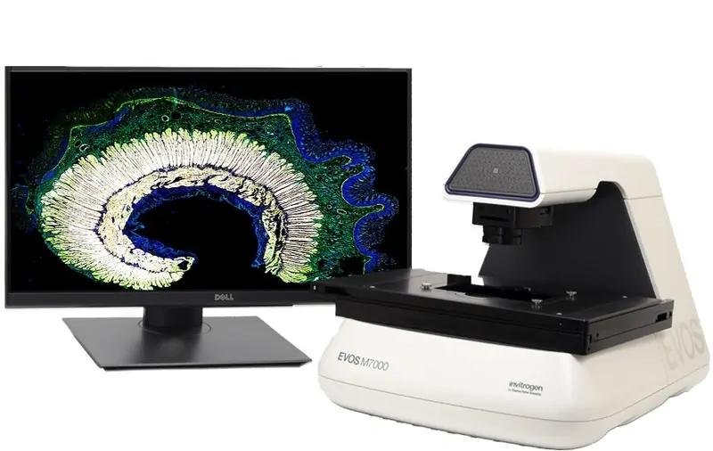 Invitrogen EVOS M7000 Imaging System