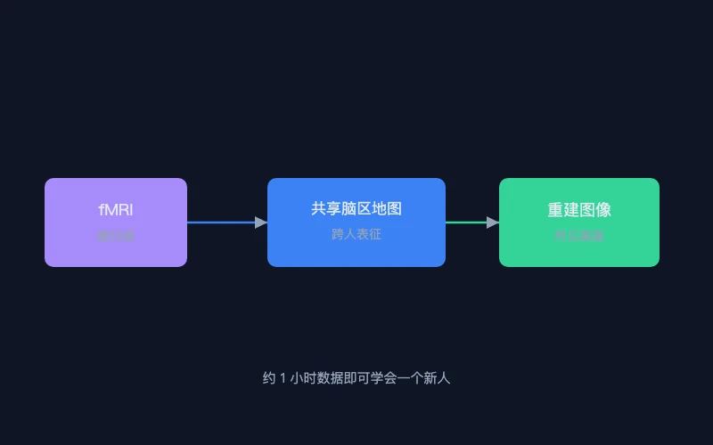 图1:fMRI 重建图像示意