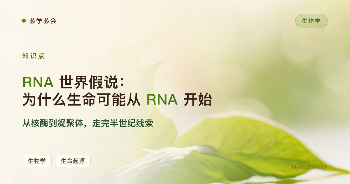 RNA 世界假说：为什么生命可能从 RNA 开始