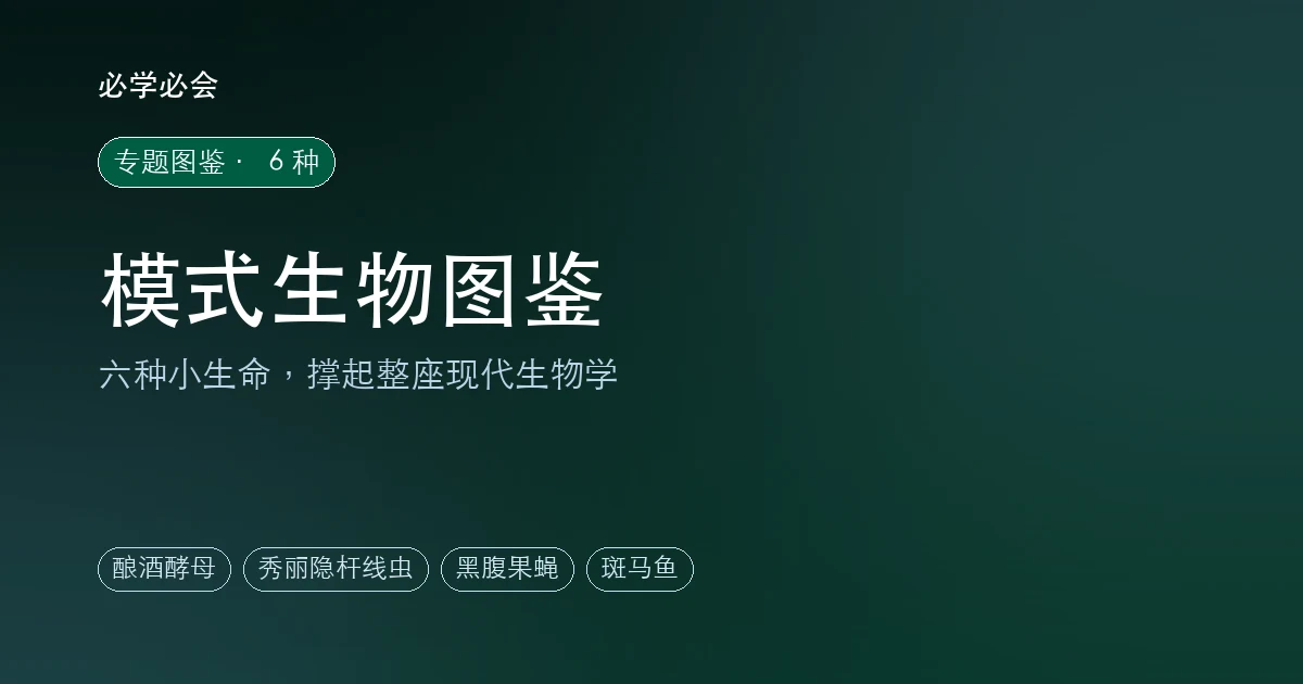 模式生物图鉴:6 种撑起现代生物学的小生命