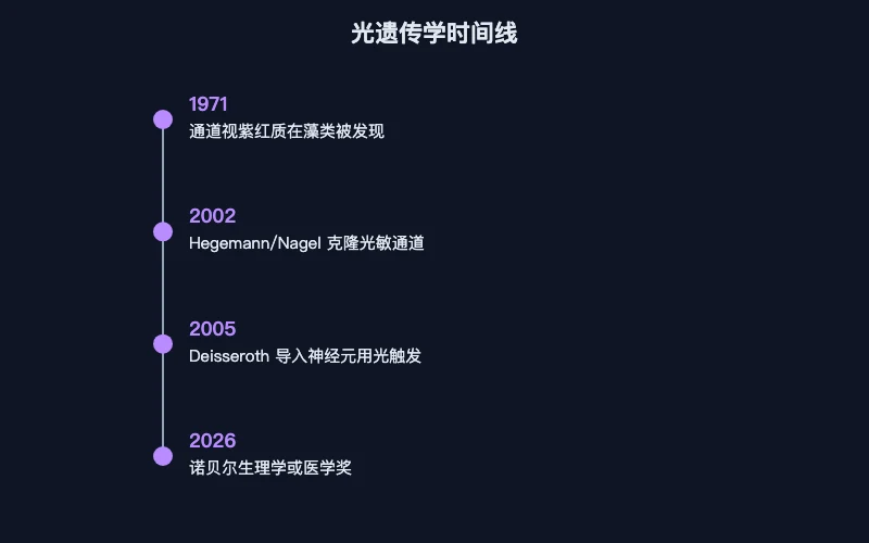 图1：从藻类蛋白到光控神经元的时间线
