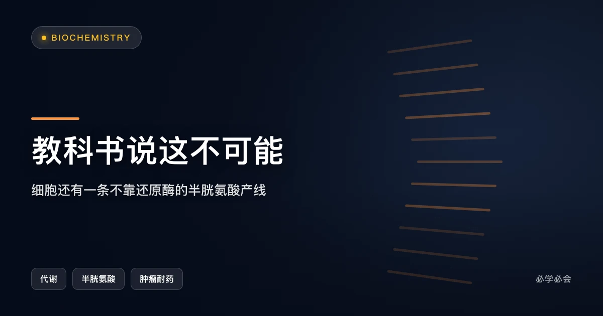 教科书说这不可能:细胞还有一条不靠还原酶的半胱氨酸产线