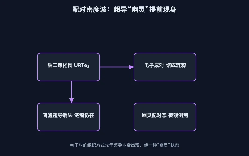 图1：电子对结成涟漪状的配对密度波